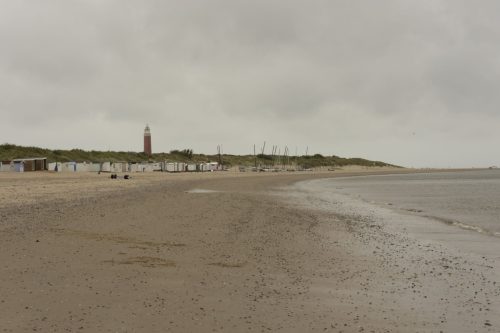 texel01