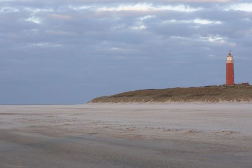 texel03