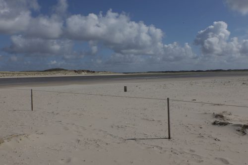 texel10