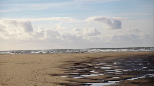 texel116