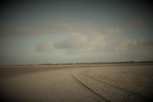 texel117