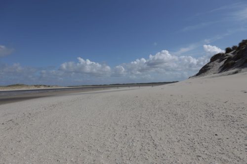 texel12