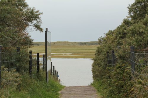 texel123