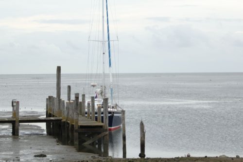 texel125