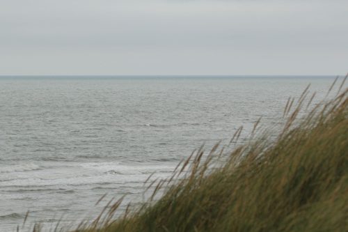 texel134