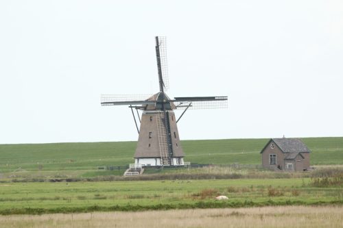 texel141