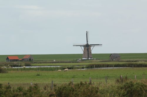 texel142