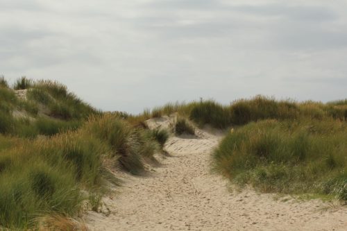 texel144