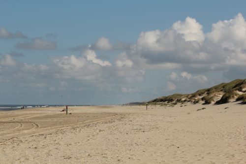 texel187