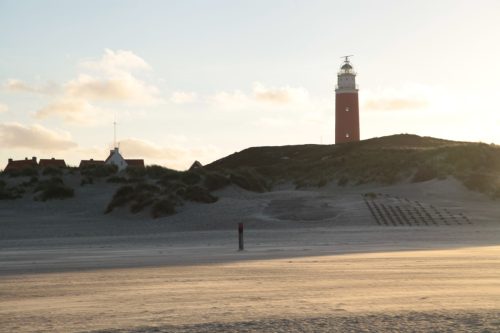 texel209