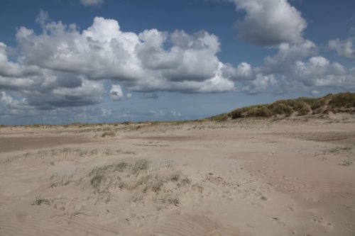 texel226