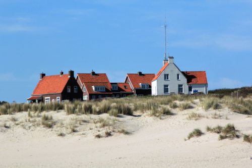 texel24
