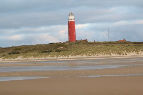 texel56