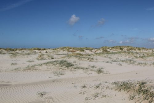 texel69