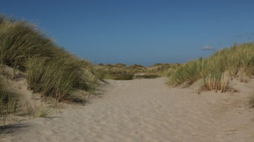 texel72