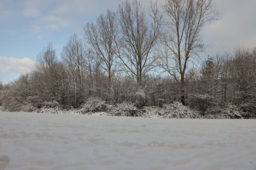 winter lunetten202602