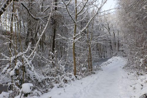 winter lunetten202605