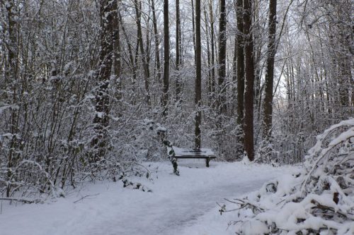 winter lunetten202606