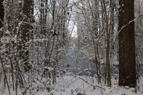 winter lunetten202607