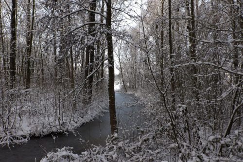 winter lunetten202608