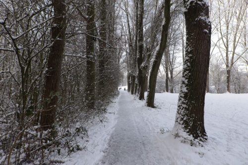 winter lunetten202609