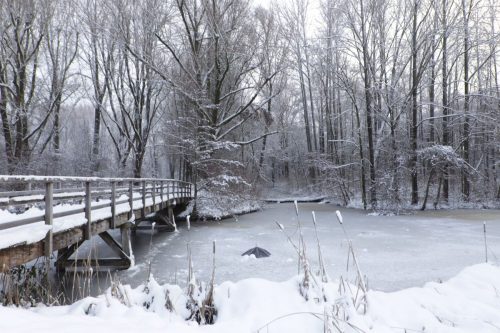 winter lunetten202611