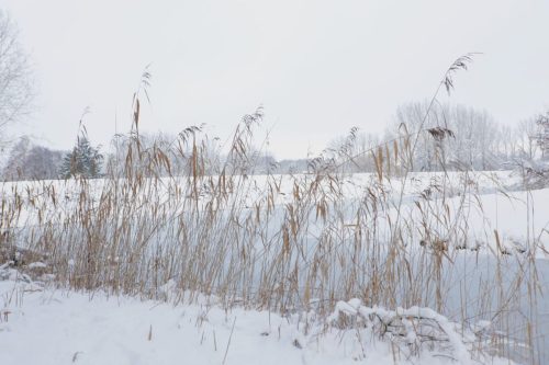 winter lunetten202612