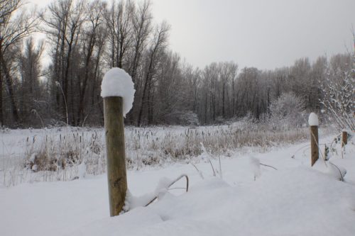 winter lunetten202614