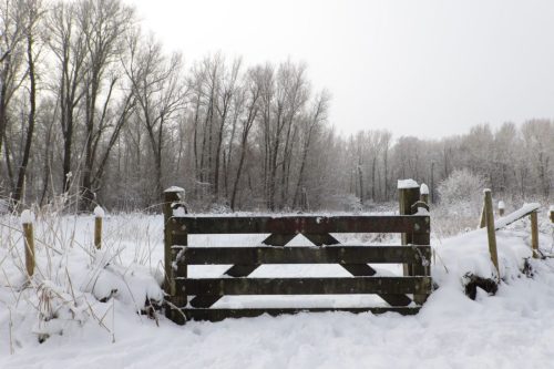 winter lunetten202615